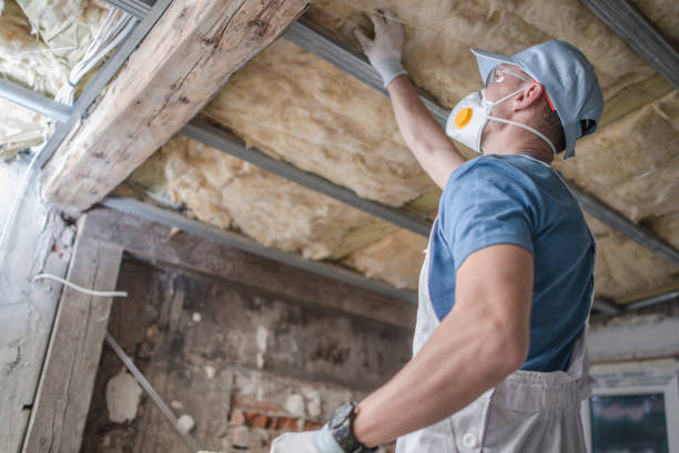 Best Commercial Insulation in Winter Springs, FL